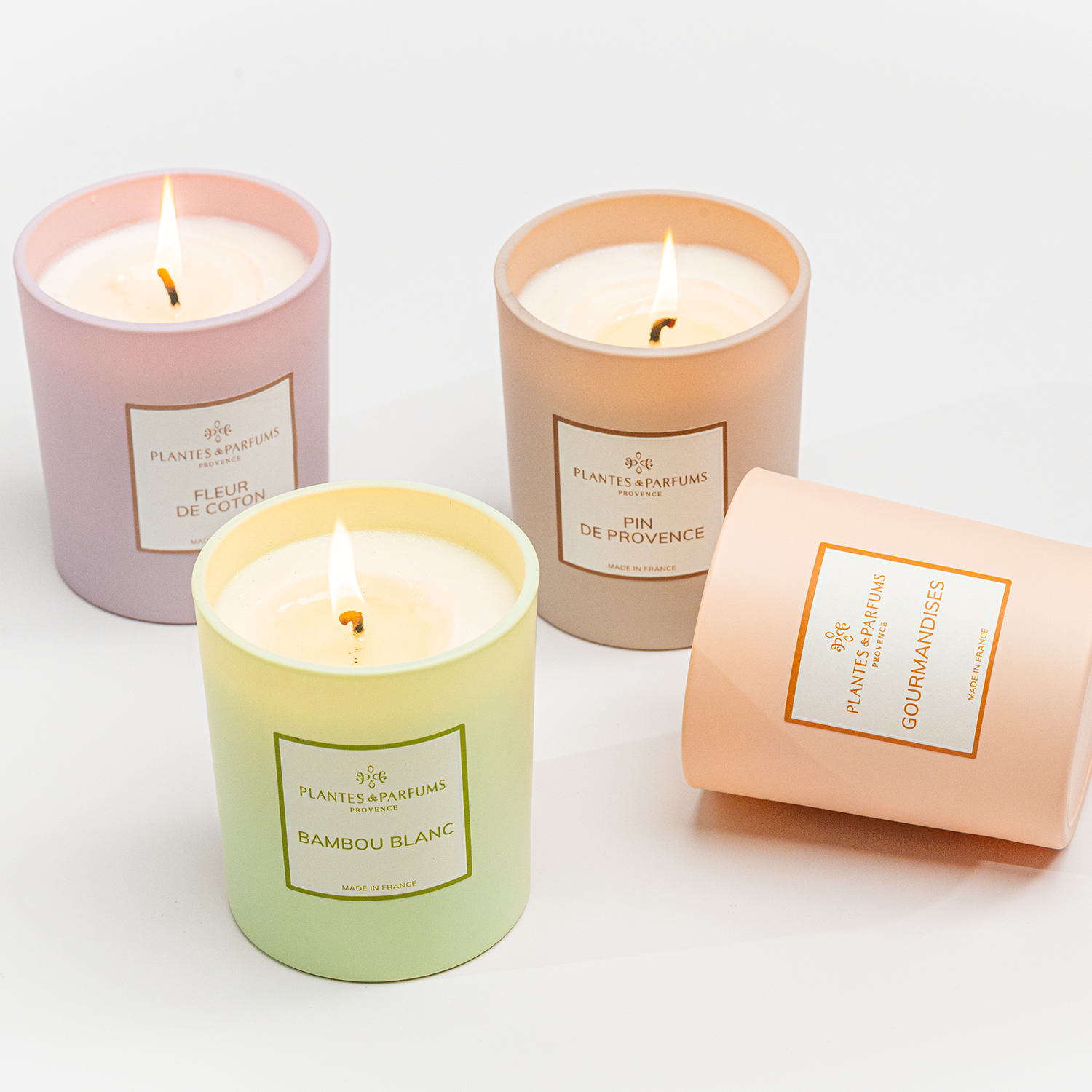 Quel parfum d’intérieur pour des odeurs tenaces ?