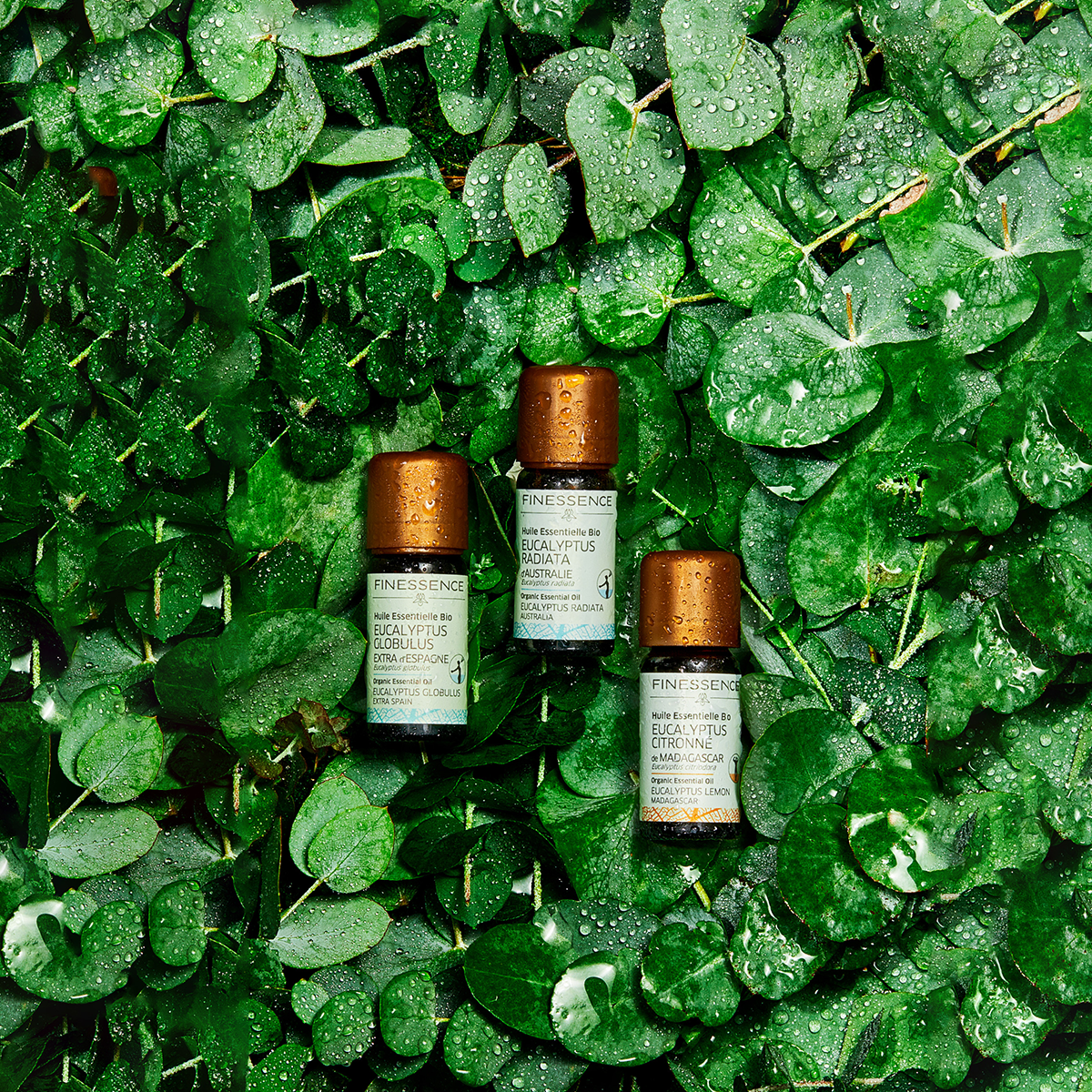 Les secrets de la diffusion des huiles essentielles révélés !