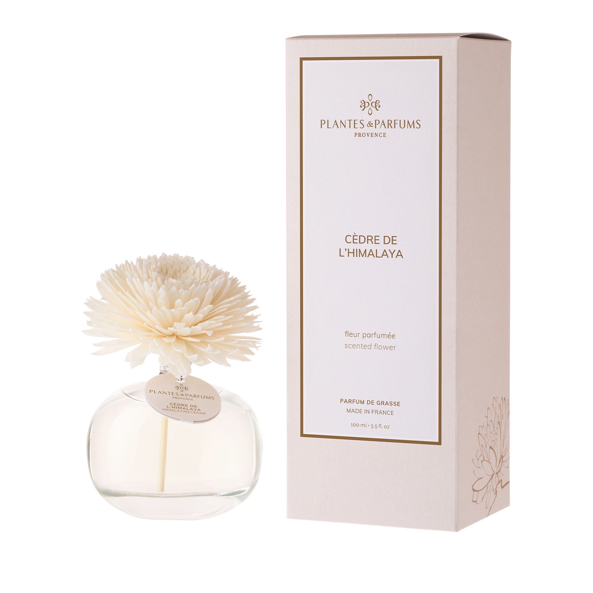 Fleur Parfumée Cèdre de l'Himalaya