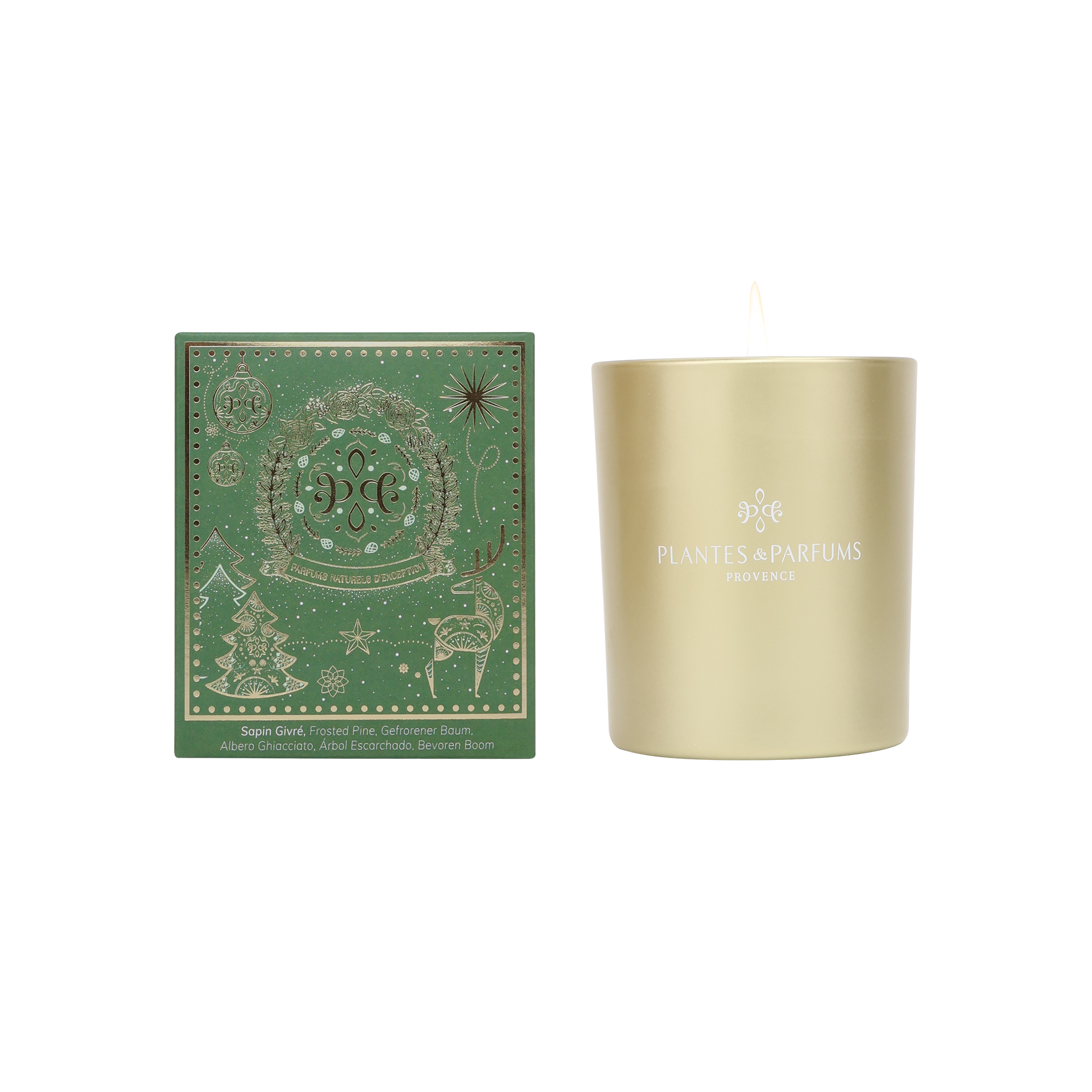 Bougie Végétale Parfumée 180g Sapin Givré