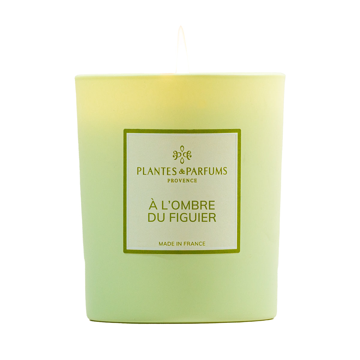 Bougie Parfumée À l'Ombre du Figuier 180g
