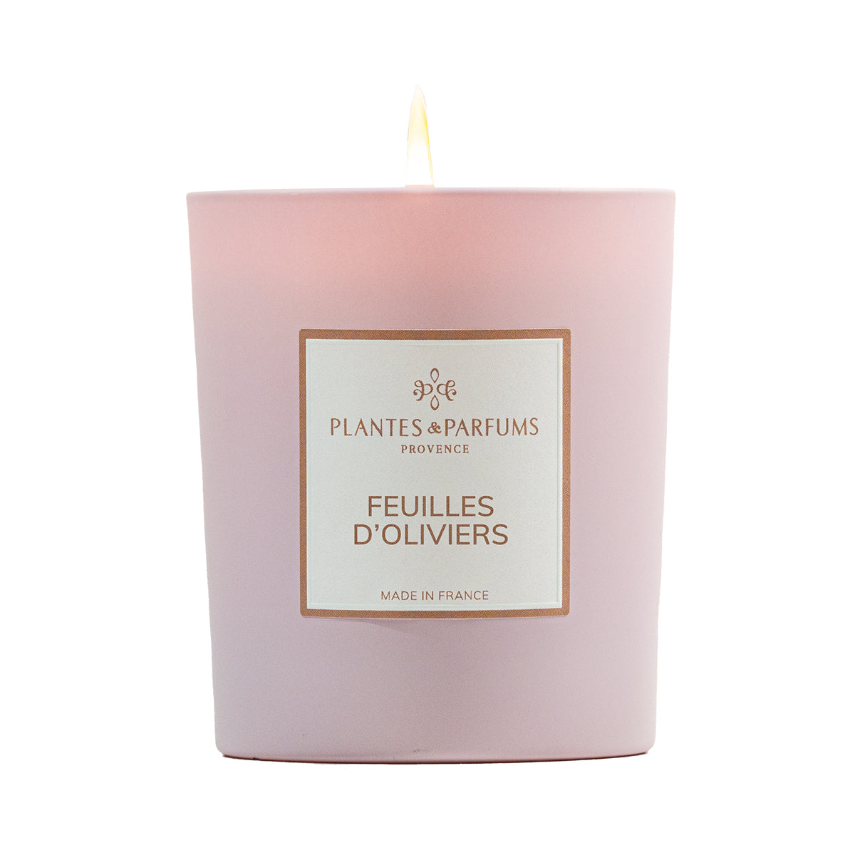 Bougie Végétale Feuilles d'Oliviers 180g