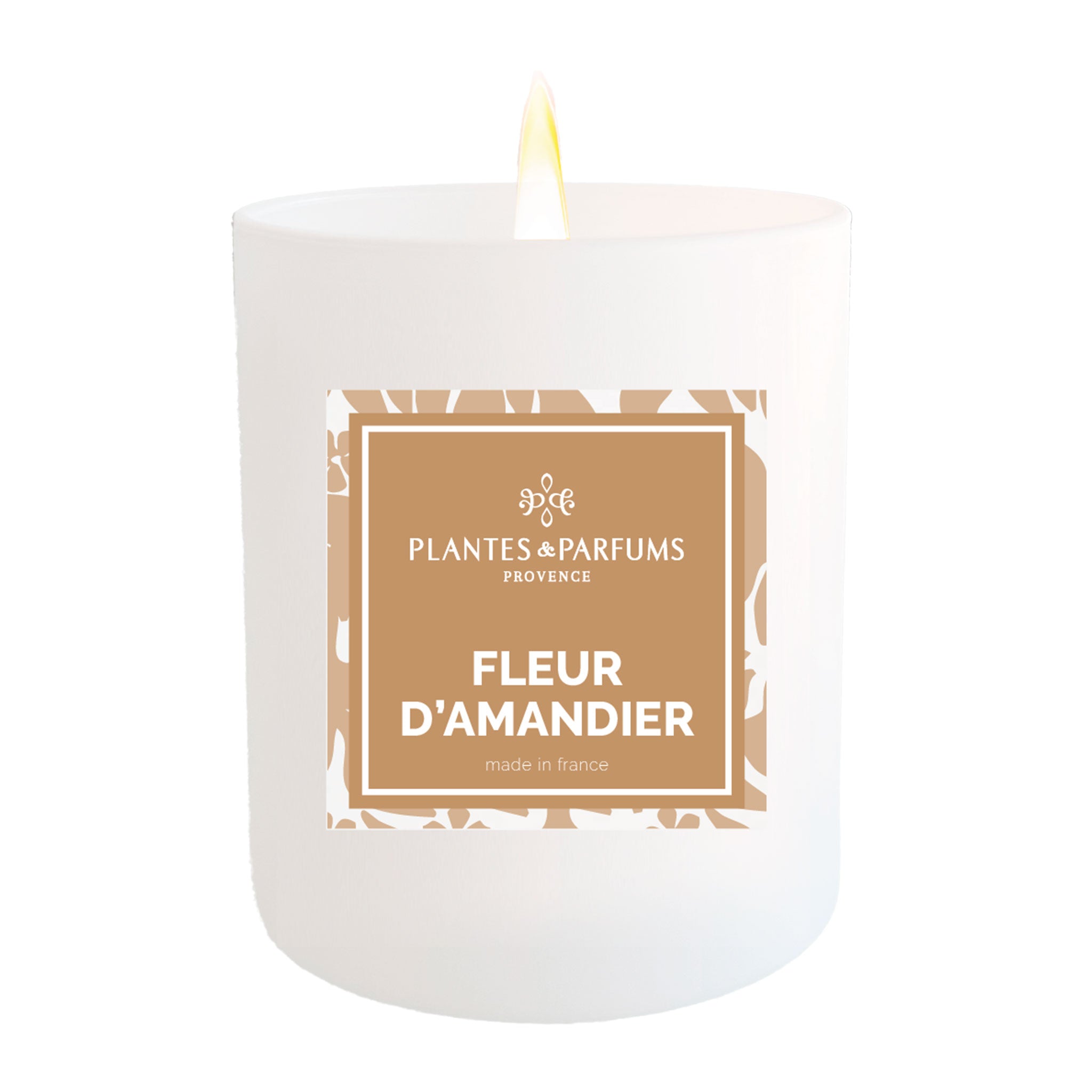 Bougie Fleur d'Amandier