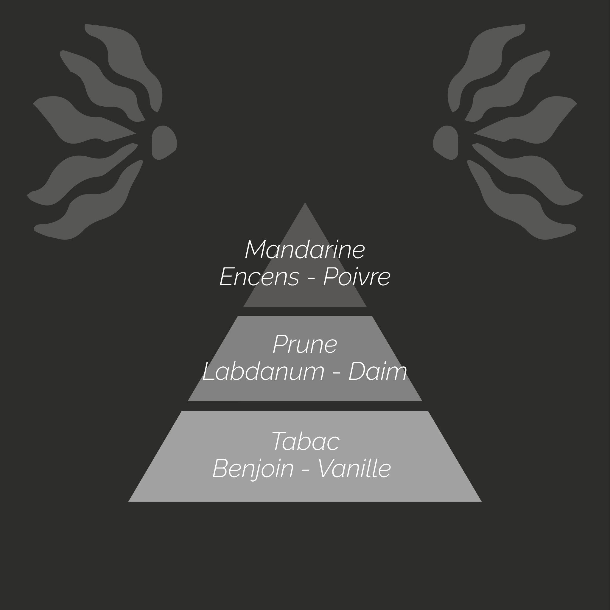 Bouquet Parfumé Havana 1902 et ses Bâtonnets