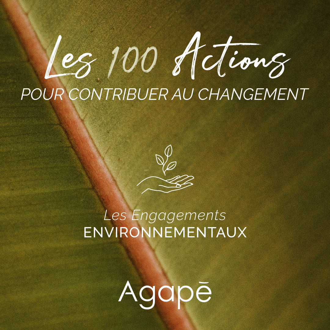 Les 100 actions pour contribuer au changement : l'Environnement
