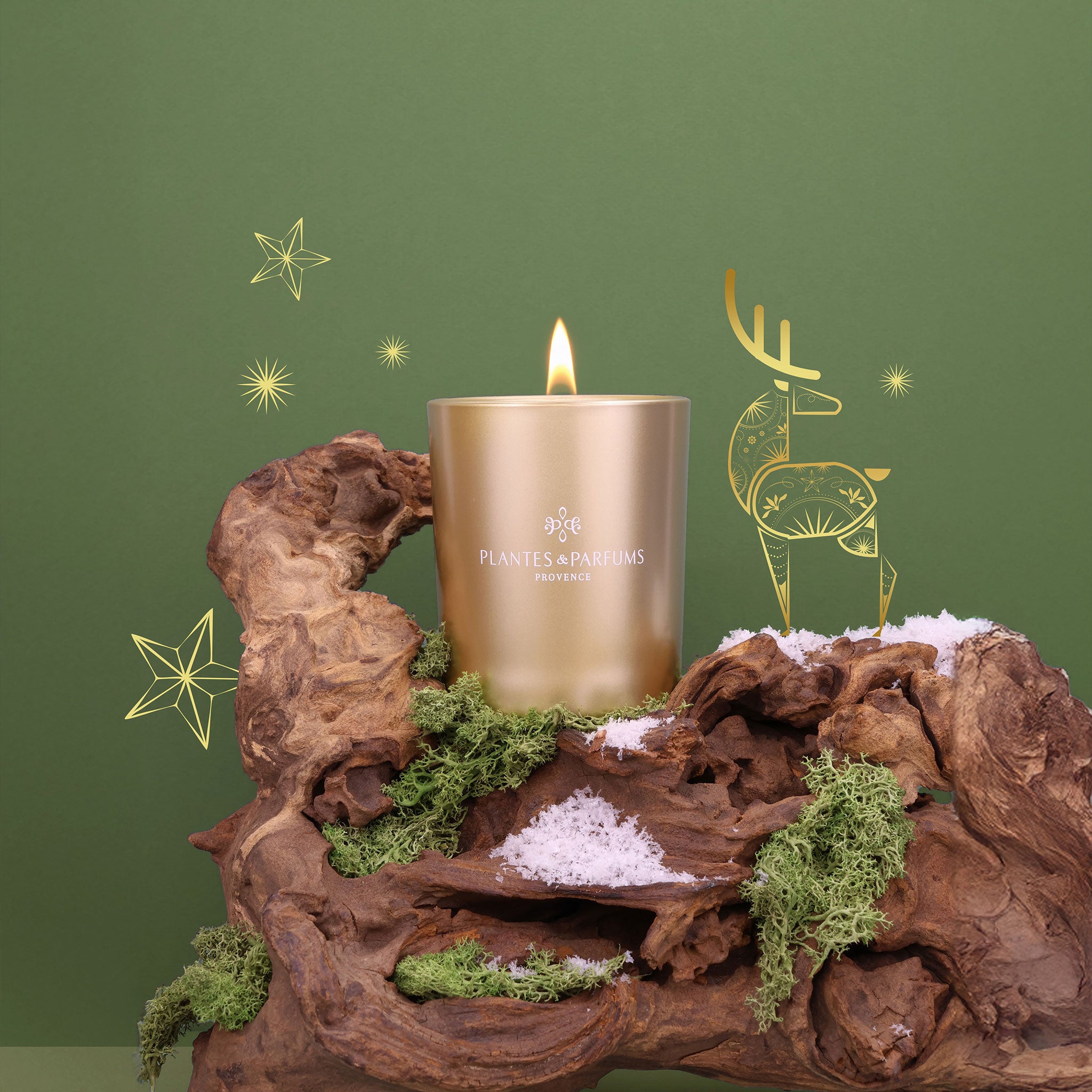 Bougie Végétale Parfumée 180g Sapin Givré