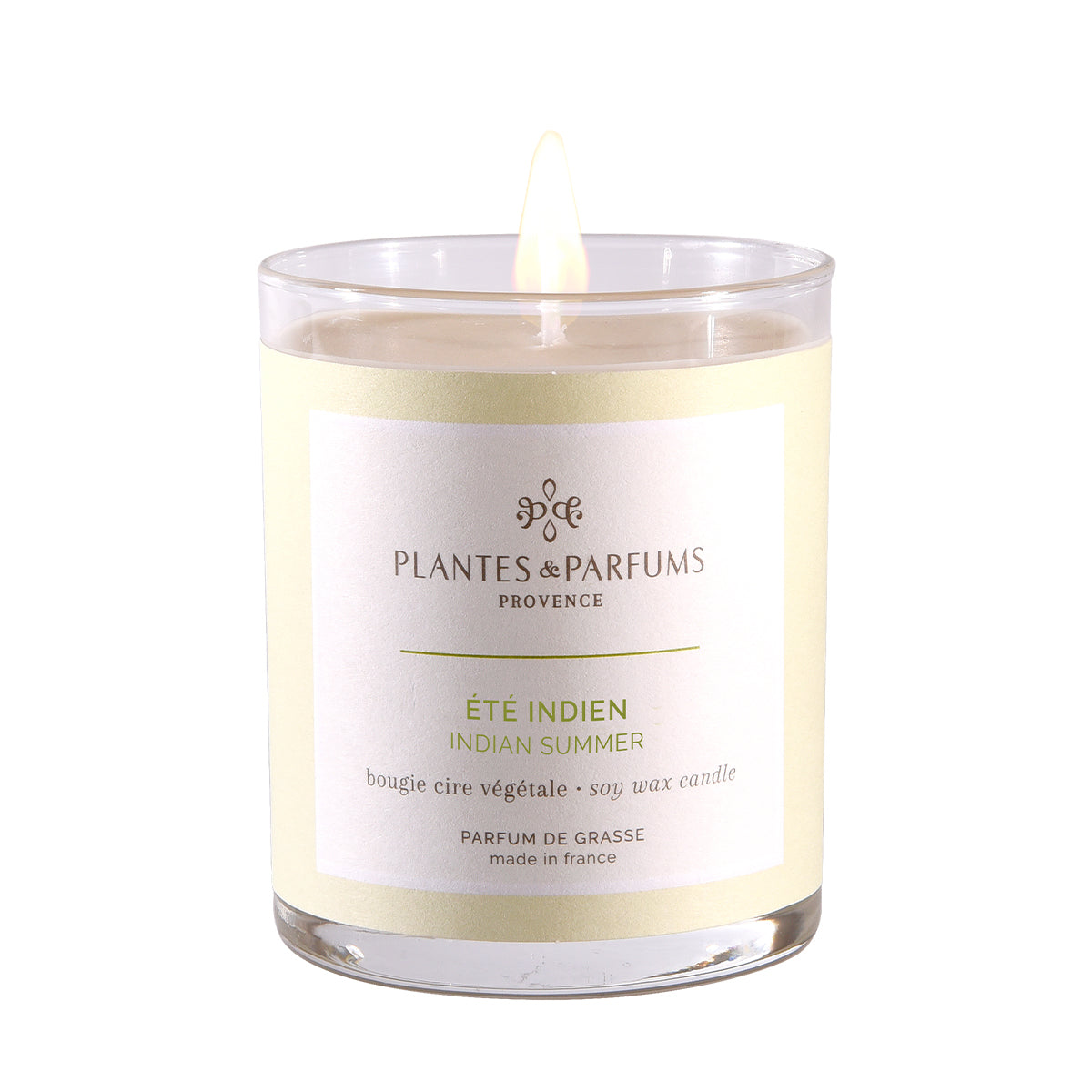 Indian Summer Vegetable Candle 180g