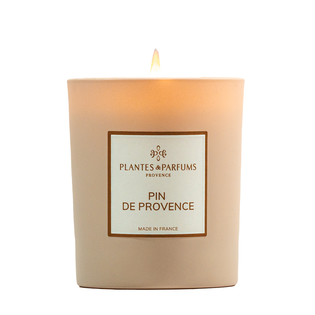 Provence Pine Plant Candle 180g