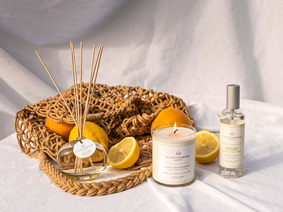 Huile Essentielle  NEROLI Bio (Fleur d'oranger) - Particuliers - Cinier-B  Laboratoires