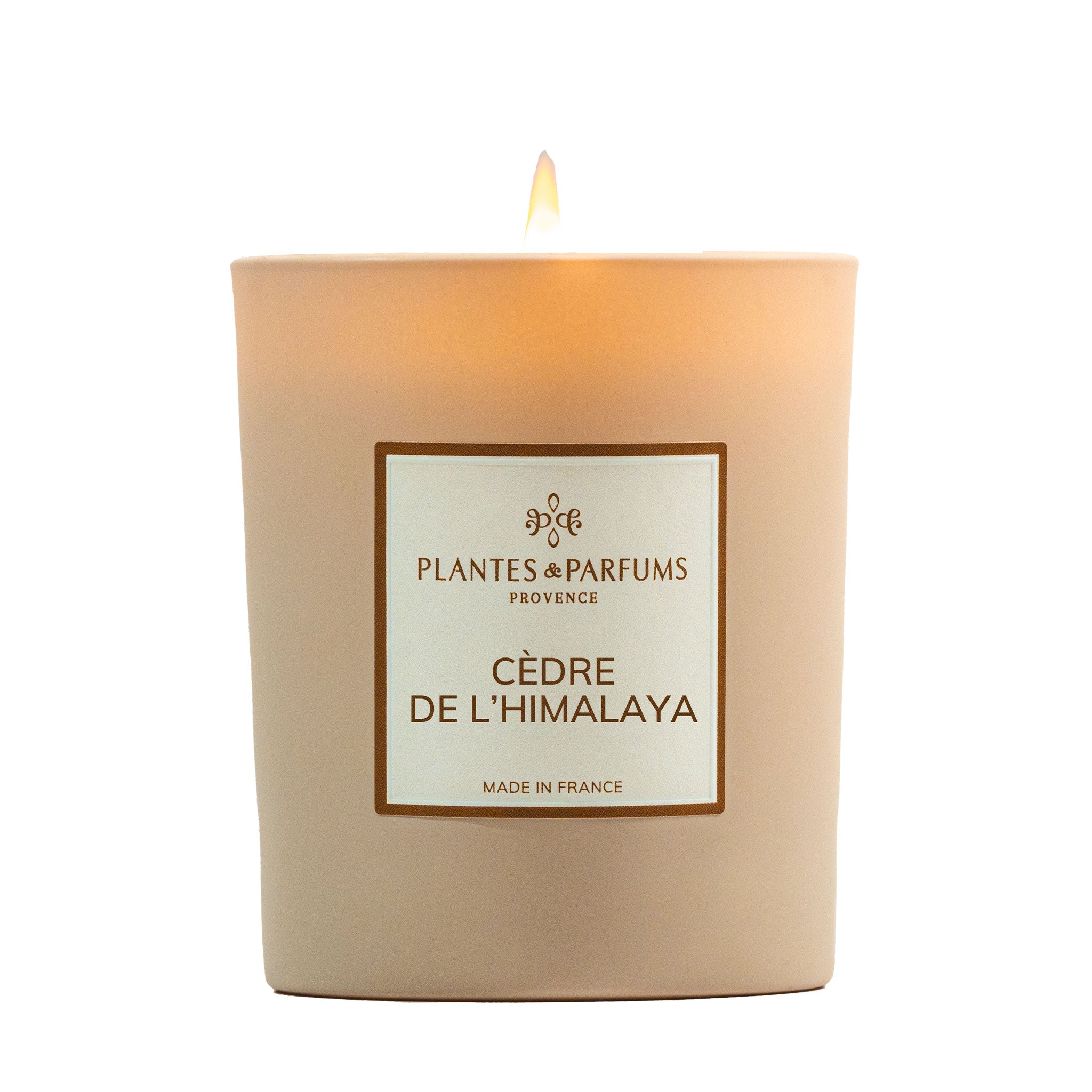 Bougie Parfumée Cèdre de l'Himalaya 180g
