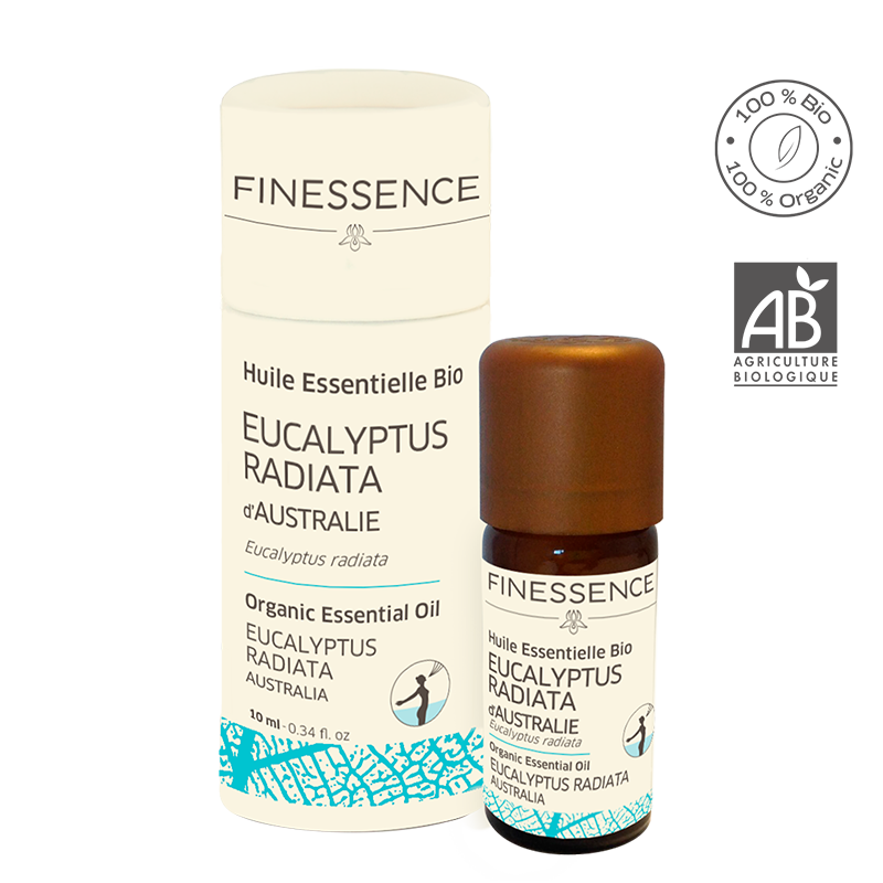 Huile Essentielle Eucalyptus Radiata Frais BIO 10ml