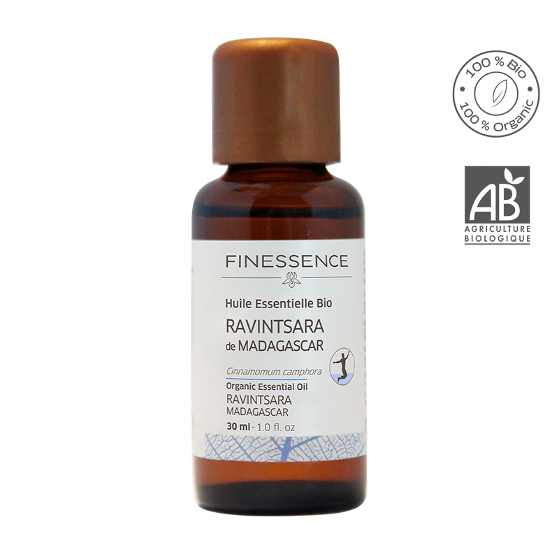 Ravintsara Essential Oil from Madagascar ORGANIC 30ml